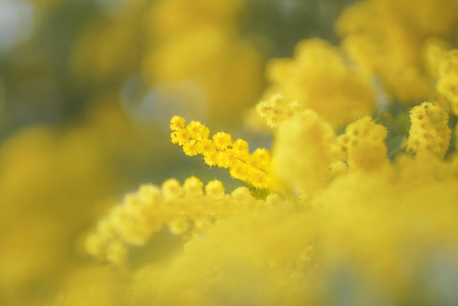 自分らしく働ける会社を目指して