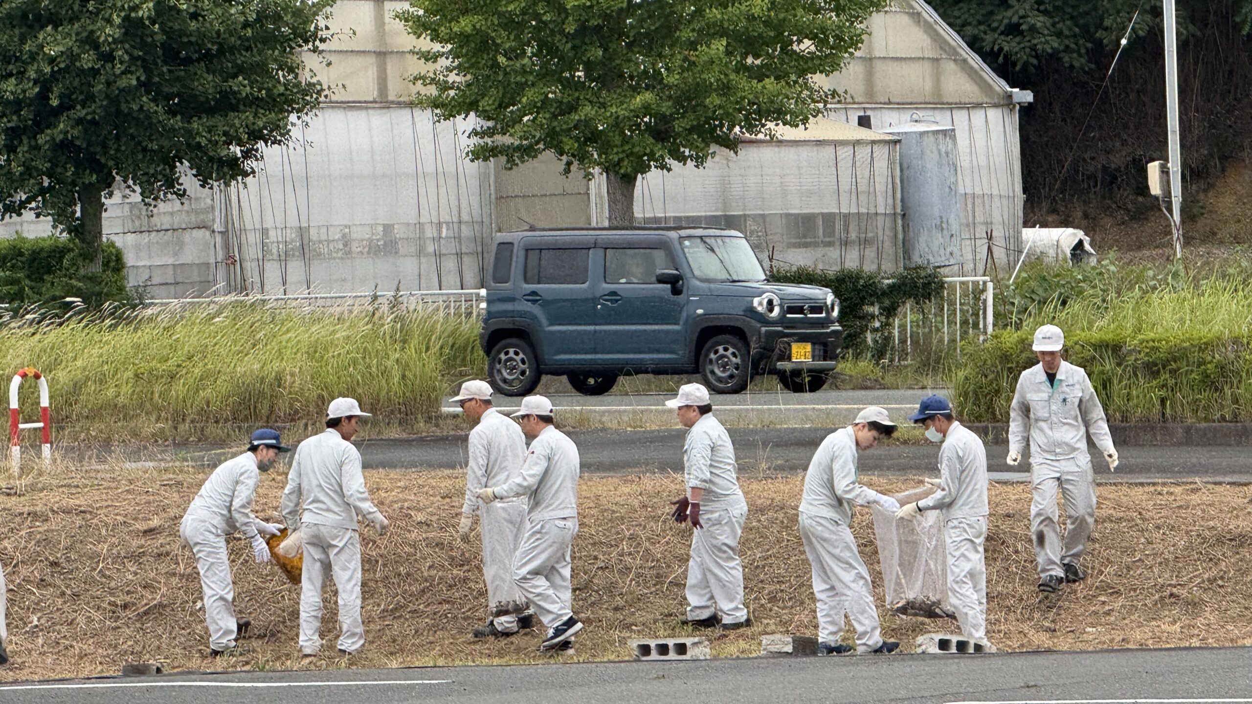 6月は環境月間です